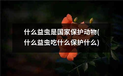 什么益虫是国家保护动物(什么益虫吃什么保护什么)