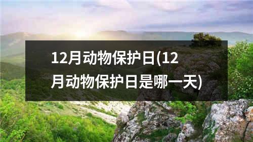 12月动物保护日(12月动物保护日是哪一天)