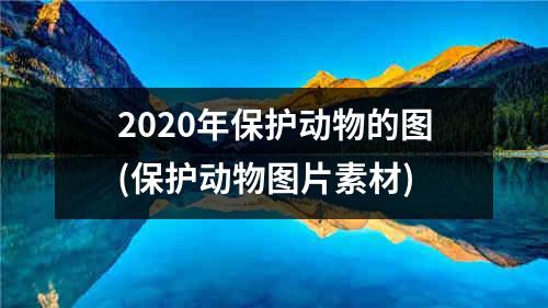 2020年保护动物的图(保护动物图片素材)