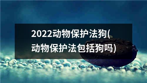 2022动物保护法狗(动物保护法包括狗吗)