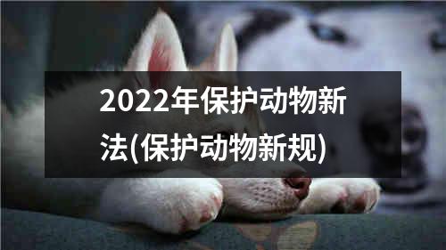 2022年保护动物新法(保护动物新规)