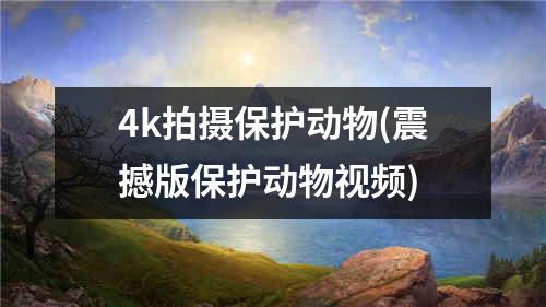 4k拍摄保护动物(震撼版保护动物视频)