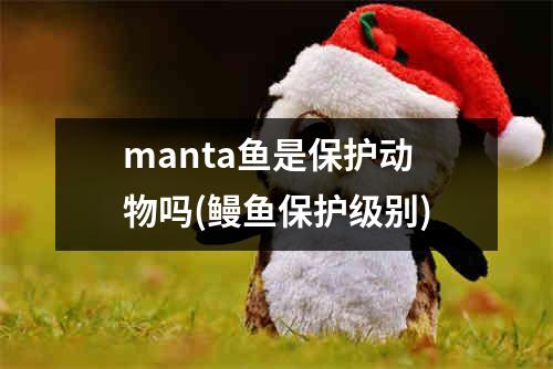 manta鱼是保护动物吗(鳗鱼保护级别)