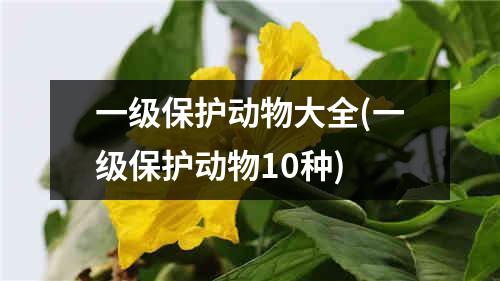 一级保护动物大全(一级保护动物10种)