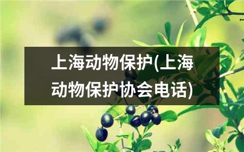 上海动物保护(上海动物保护协会电话)