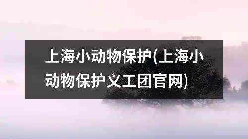 上海小动物保护(上海小动物保护义工团官网)