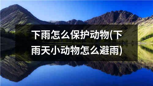 下雨怎么保护动物(下雨天小动物怎么避雨)