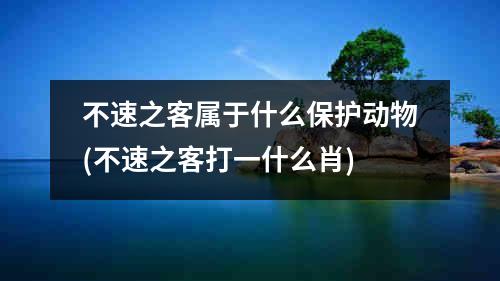 不速之客属于什么保护动物(不速之客打一什么肖)