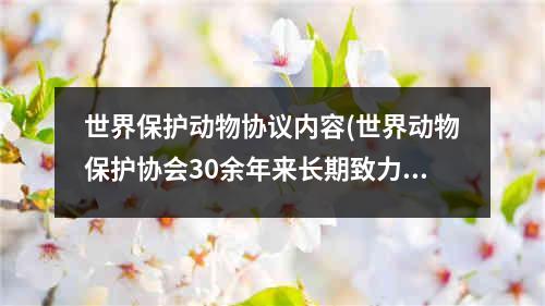 世界保护动物协议内容(世界动物保护协会30余年来长期致力于动物保护事业)