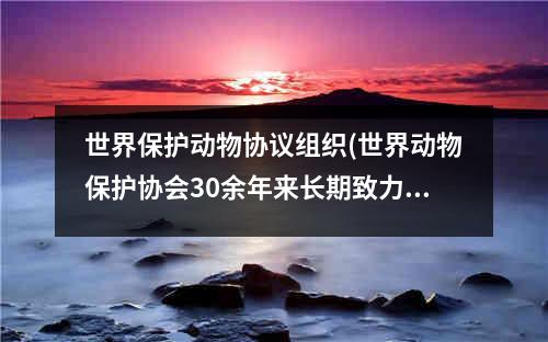 世界保护动物协议组织(世界动物保护协会30余年来长期致力于动物保护事业)