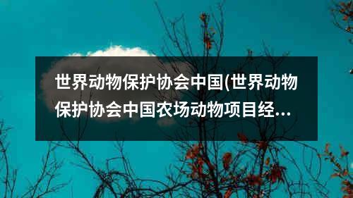 世界动物保护协会中国(世界动物保护协会中国农场动物项目经理储学琴)