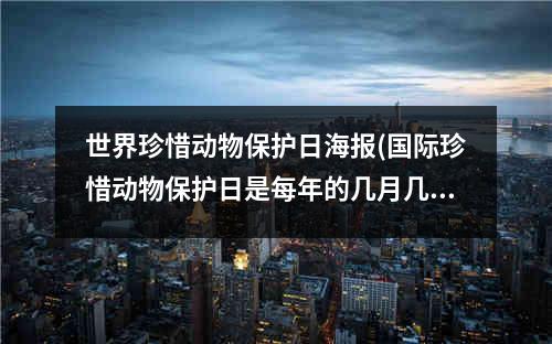 世界珍惜动物保护日海报(国际珍惜动物保护日是每年的几月几日)