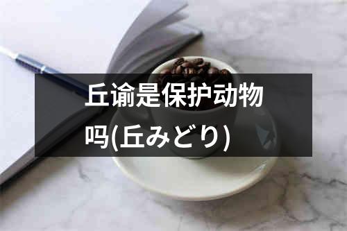 丘谕是保护动物吗(丘みどり)