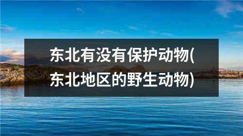 东北有没有保护动物(东北地区的野生动物)