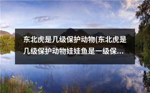 东北虎是几级保护动物(东北虎是几级保护动物娃娃鱼是一级保护动物吗)