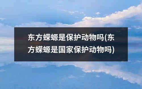 东方蝾螈是保护动物吗(东方蝾螈是国家保护动物吗)