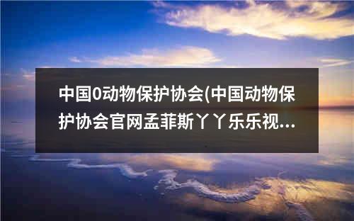 中国0动物保护协会(中国动物保护协会官网孟菲斯丫丫乐乐视频)