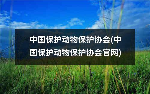 中国保护动物保护协会(中国保护动物保护协会官网)