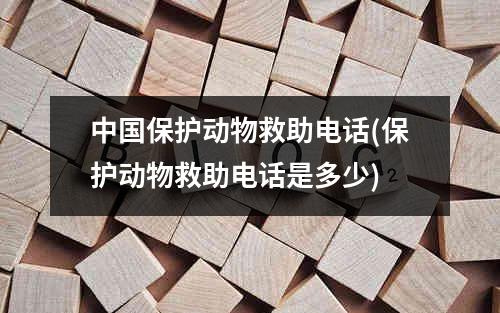 中国保护动物救助电话(保护动物救助电话是多少)