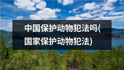 中国保护动物犯法吗(国家保护动物犯法)