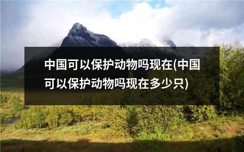 中国可以保护动物吗现在(中国可以保护动物吗现在多少只)