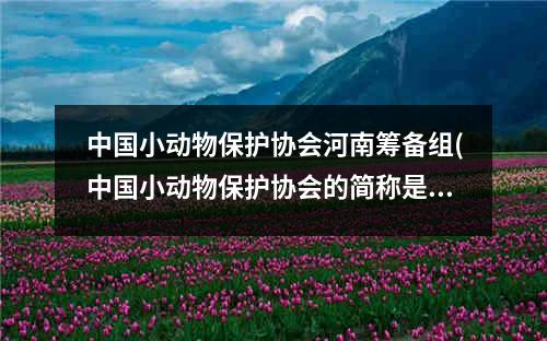 中国小动物保护协会河南筹备组(中国小动物保护协会的简称是什么)