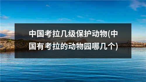 中国考拉几级保护动物(中国有考拉的动物园哪几个)