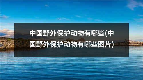 中国野外保护动物有哪些(中国野外保护动物有哪些图片)