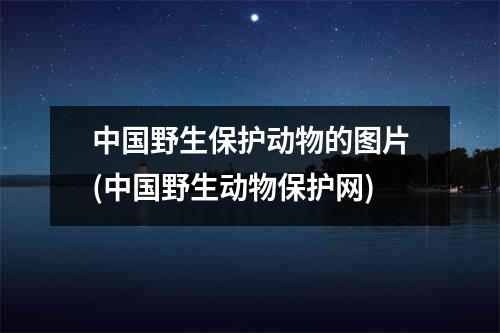 中国野生保护动物的图片(中国野生动物保护网)