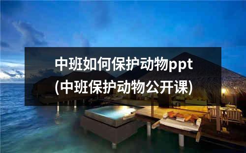 中班如何保护动物ppt(中班保护动物公开课)