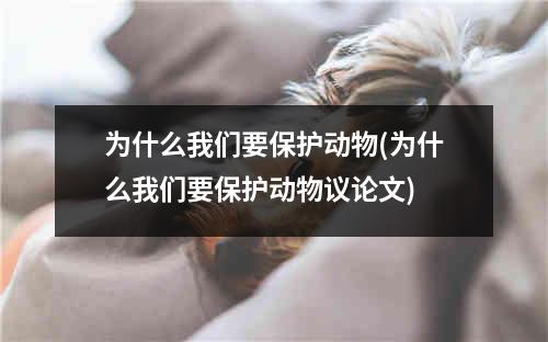 为什么我们要保护动物(为什么我们要保护动物议论文)