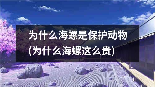 为什么海螺是保护动物(为什么海螺这么贵)