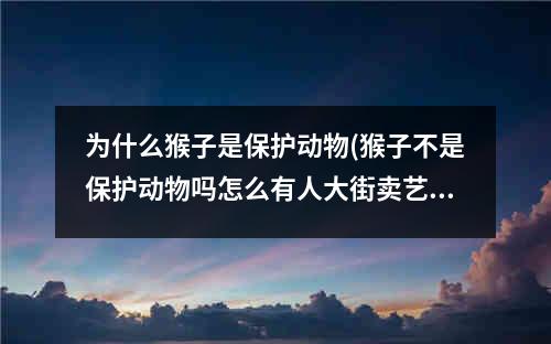 为什么猴子是保护动物(猴子不是保护动物吗怎么有人大街卖艺)