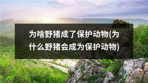 为啥野猪成了保护动物(为什么野猪会成为保护动物)