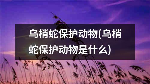 乌梢蛇保护动物(乌梢蛇保护动物是什么)