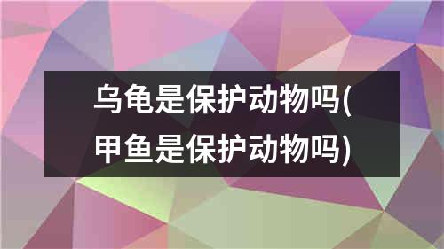 乌龟是保护动物吗(甲鱼是保护动物吗)