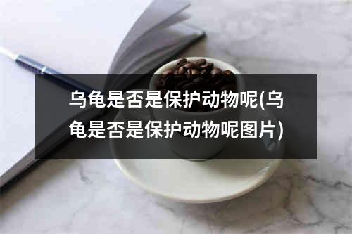 乌龟是否是保护动物呢(乌龟是否是保护动物呢图片)