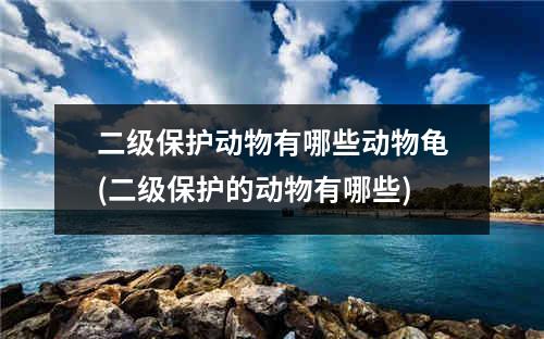 二级保护动物有哪些动物龟(二级保护的动物有哪些)