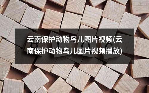 云南保护动物鸟儿图片视频(云南保护动物鸟儿图片视频播放)