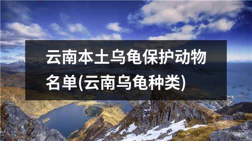 云南本土乌龟保护动物名单(云南乌龟种类)