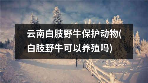 云南白肢野牛保护动物(白肢野牛可以养殖吗)