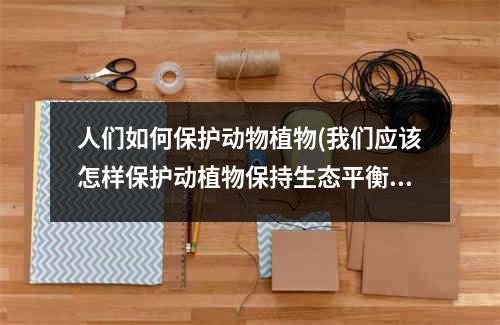 人们如何保护动物植物(我们应该怎样保护动植物保持生态平衡)