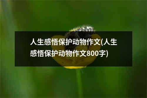 人生感悟保护动物作文(人生感悟保护动物作文800字)