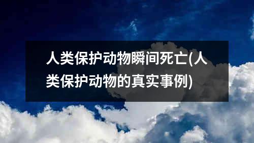 人类保护动物瞬间死亡(人类保护动物的真实事例)