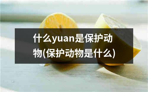 什么yuan是保护动物(保护动物是什么)