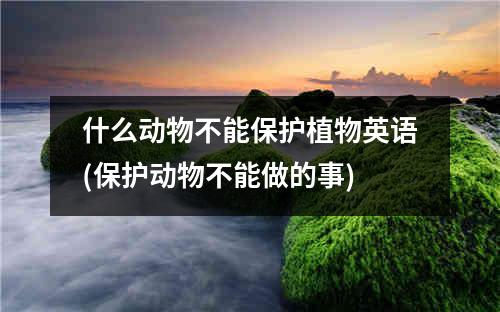 什么动物不能保护植物英语(保护动物不能做的事)