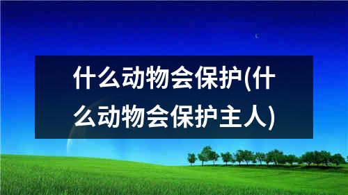 什么动物会保护(什么动物会保护主人)