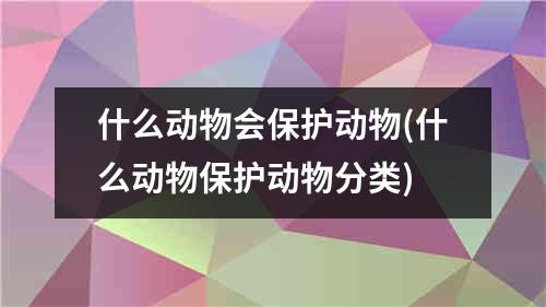 什么动物会保护动物(什么动物保护动物分类)