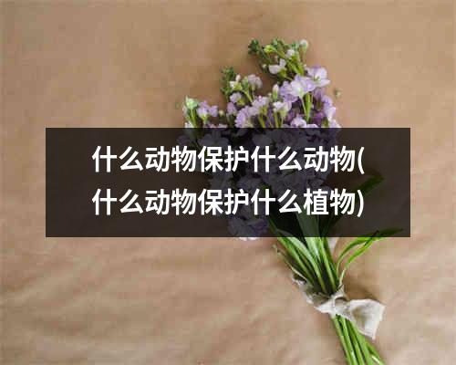 什么动物保护什么动物(什么动物保护什么植物)