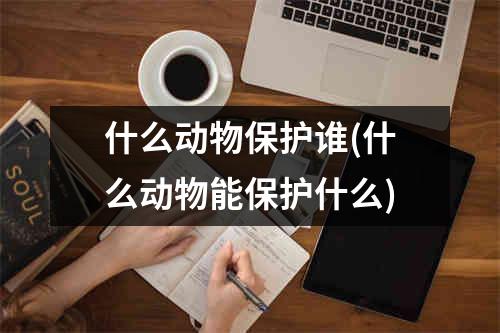 什么动物保护谁(什么动物能保护什么)